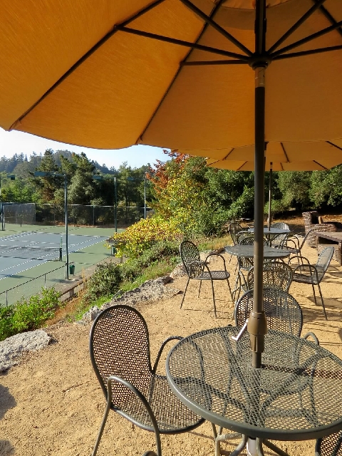 La Madrona Athletic Club Photo Albums